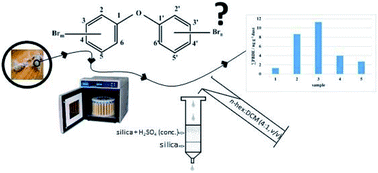 Graphical abstract: Optimization and validation of a two-step method for the determination of polybrominated diphenyl ethers in Croatian house dust samples