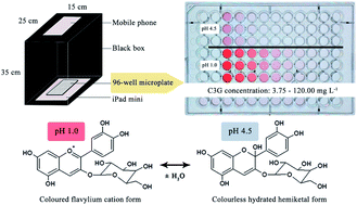 Graphical abstract: Smartphone digital image colorimetric determination of the total monomeric anthocyanin content in black rice via the pH differential method
