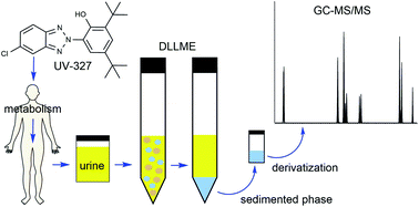 Graphical abstract: Determination of UV-327 and its metabolites in human urine using dispersive liquid-liquid microextraction and gas chromatography-tandem mass spectrometry
