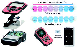 Graphical abstract: A multi-channel handheld automatic spectrometer for wide range and on-site detection of okadaic acid based on specific aptamer binding