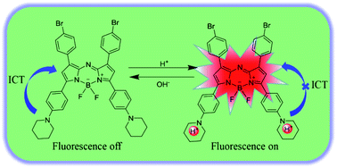 Graphical abstract: A novel near-infrared colorimetric and fluorescent probe based on a piperidine-substituted aza-BODIPY photosensitizer for detection of extreme acidity