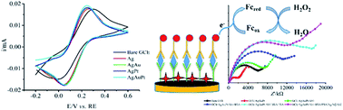 Graphical abstract: Electrochemical sandwich-type immunosensor for the detection of PSA based on a trimetallic AgAuPt nanocomposite synthesized using the galvanic replacement reaction
