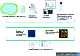 Graphical abstract: Monitoring of emerging contaminants of concern in the aquatic environment: a review of studies showing the application of effect-based measures