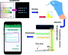 Graphical abstract: Smartphone-based colorimetric detection system for portable health tracking