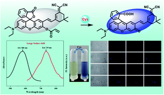 Graphical abstract: A near-infrared fluorescence turn-on probe based on Michael addition–intramolecular cyclization for specific detection of cysteine and its applications in environmental water and milk samples and living cells