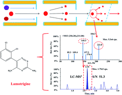 Graphical abstract: A LC-MS3 strategy to determine lamotrigine by Q-Q-trap tandem mass spectrometry coupled with triple stage fragmentation to enhance sensitivity and selectivity