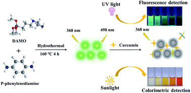 Graphical abstract: Green-emissive water-dispersible silicon quantum dots for the fluorescent and colorimetric dual mode sensing of curcumin