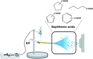 Graphical abstract: Direct analysis of naphthenic acids in produced water and crude oil by NH2-surface-modified wooden-tip electrospray ionization mass spectrometry