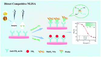 Graphical abstract: A direct competitive nanozyme-linked immunosorbent assay based on MnO2 nanosheets as a catalytic label for the determination of fumonisin B1