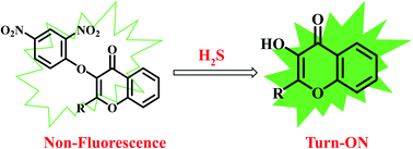 Graphical abstract: Dinitrobenzene ether reactive turn-on fluorescence probes for the selective detection of H2S