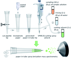 Graphical abstract: Portable paper-in-tip spray ionization for the direct mass spectrometric analysis of target analytes in biofluid samples