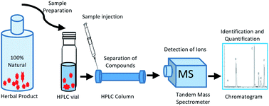 Graphical abstract: A HPLC-MS/MS method for screening of selected antibiotic adulterants in herbal drugs