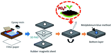 Graphical abstract: A simple epoxy resin screen-printed paper-based analytical device for detection of phosphate in soil