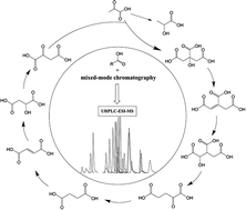 Graphical abstract: Mixed-mode chromatography-mass spectrometry enables targeted and untargeted screening of carboxylic acids in biological samples
