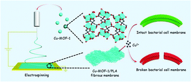 Graphical abstract: A flexible fibrous membrane based on copper(ii) metal–organic framework/poly(lactic acid) composites with superior antibacterial performance