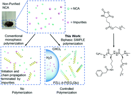 Graphical abstract: Open-air synthesis of oligo(ethylene glycol)-functionalized polypeptides from non-purified N-carboxyanhydrides