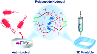 Graphical abstract: Three-dimensionally printable shear-thinning triblock copolypeptide hydrogels with antimicrobial potency