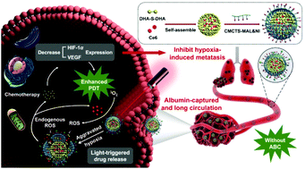 Graphical abstract: An albumin-binding dimeric prodrug nanoparticle with long blood circulation and light-triggered drug release for chemo-photodynamic combination therapy against hypoxia-induced metastasis of lung cancer