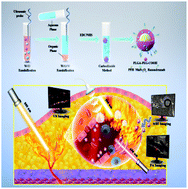Graphical abstract: Ferrite-encapsulated nanoparticles with stable photothermal performance for multimodal imaging-guided atherosclerotic plaque neovascularization therapy