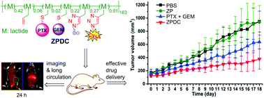 Graphical abstract: A sulfobetaine zwitterionic polymer–drug conjugate for multivalent paclitaxel and gemcitabine co-delivery