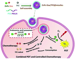 Graphical abstract: Encapsulating an acid-activatable phthalocyanine–doxorubicin conjugate and the hypoxia-sensitive tirapazamine in polymeric micelles for multimodal cancer therapy