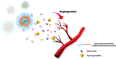 Graphical abstract: Enhanced NO-induced angiogenesis via NO/H2S co-delivery from self-assembled nanoparticles