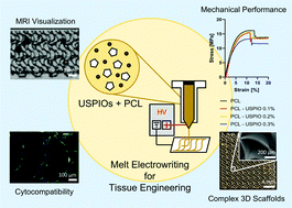 Graphical abstract: Visualization of USPIO-labeled melt-electrowritten scaffolds by non-invasive magnetic resonance imaging