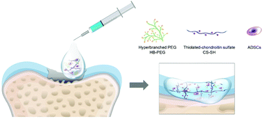 Graphical abstract: A chondroitin sulfate based injectable hydrogel for delivery of stem cells in cartilage regeneration
