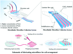 Graphical abstract: A flexible microfluidic strategy to generate grooved microfibers for guiding cell alignment