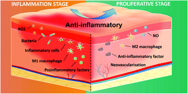 Graphical abstract: Anti-inflammation biomaterial platforms for chronic wound healing