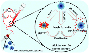 Graphical abstract: A hybrid nanozymes in situ oxygen supply synergistic photothermal/chemotherapy of cancer management