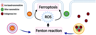 Graphical abstract: Recent progress on nanomedicine-induced ferroptosis for cancer therapy