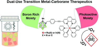 Graphical abstract: Ru(ii) and Ir(iii) phenanthroline-based photosensitisers bearing o-carborane: PDT agents with boron carriers for potential BNCT