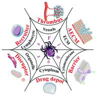 Graphical abstract: In situ self-assembled peptide nanofibers for cancer theranostics