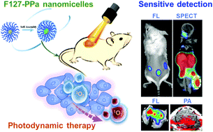 Graphical abstract: Biocompatible nanomicelles for sensitive detection and photodynamic therapy of early-stage cancer