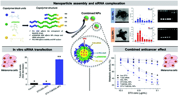 Graphical abstract: PEGylated cationic nanoassemblies based on triblock copolymers to combine siRNA therapeutics with anticancer drugs