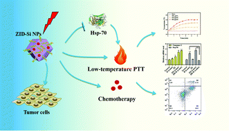 Graphical abstract: A NIR-triggered multifunctional nanoplatform mediated by Hsp70 siRNA for chemo-hypothermal photothermal synergistic therapy