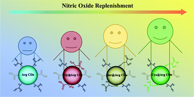 Graphical abstract: Bioenzyme-responsive l-arginine-based carbon dots: the replenishment of nitric oxide for nonpharmaceutical therapy