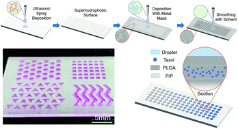 Graphical abstract: A facile method for high-throughput screening of drug-eluting coatings in droplet microarrays based on ultrasonic spray deposition