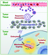Graphical abstract: Hierarchical nanoclusters with programmed disassembly for mitochondria-targeted tumor therapy with MR imaging