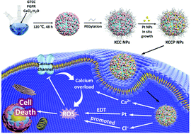 Graphical abstract: KCl-CaCO3 nanoclusters armoured with Pt nanocrystals for enhanced electro-driven tumor inhibition