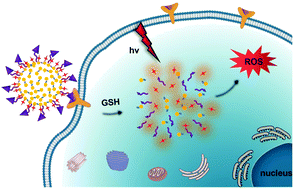 Graphical abstract: Glutathione-degradable polydopamine nanoparticles as a versatile platform for fabrication of advanced photosensitisers for anticancer therapy