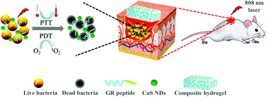 Graphical abstract: Nanodot-doped peptide hydrogels for antibacterial phototherapy and wound healing