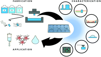Graphical abstract: Investigation and comparison of resin materials in transparent DLP-printing for application in cell culture and organs-on-a-chip