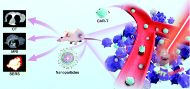 Graphical abstract: Multifunctional theranostic nanoparticles for multi-modal imaging-guided CAR-T immunotherapy and chemo-photothermal combinational therapy of non-Hodgkin's lymphoma