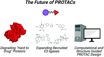 Graphical abstract: Proteolysis targeting chimeras (PROTACs) come of age: entering the third decade of targeted protein degradation