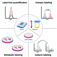 Graphical abstract: Recent developments and applications of quantitative proteomics strategies for high-throughput biomolecular analyses in cancer research
