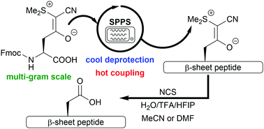 Graphical abstract: The CSY-protecting group in the microwave-assisted synthesis of aggregation-prone peptides