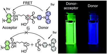 Graphical abstract: Controlling fluorescence resonance energy transfer of donor–acceptor dyes by Diels–Alder dynamic covalent bonds