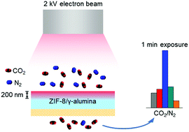 Graphical abstract: Electron beam induced modification of ZIF-8 membrane permeation properties
